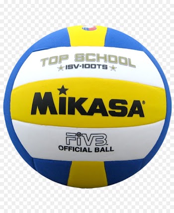 Mikasa Sports Fédération Internationale de Volleyball Beach volleyball USA Volleyball - volleyball 