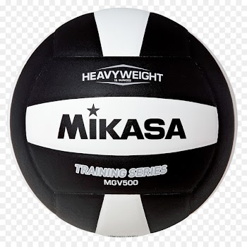 Mikasa Sports Fédération Internationale de Volleyball - volleyball 
