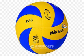 Mikasa Sports Volleyball Training Mikasa MVA 200 - volleyball 