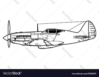Mikoyan-gurevich mig-3 vector image