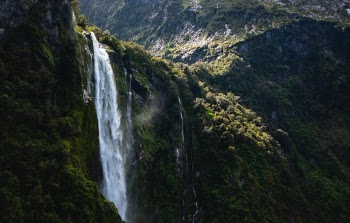 Milford Sound

I took this photo on my road trip around New Zealand whilst on a cruise around the beautiful Milford Sound