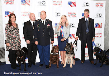 Military Dogs Receive Top Honors │ U.S. Veterans Magazine | A ...