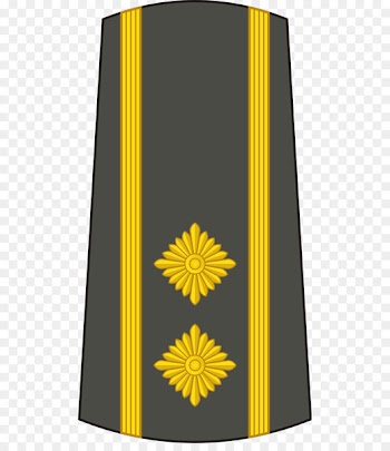 Military rank Lieutenant colonel Army officer - military 