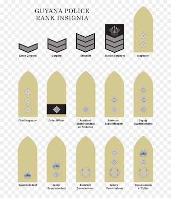 Military rank Police officer Police ranks and insignia of India Badge - official seal 