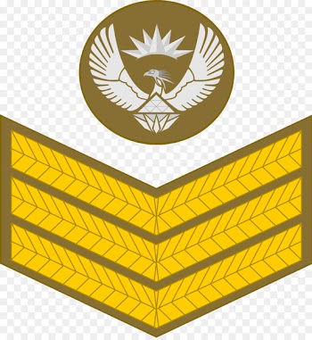 Military ranks of Zambia South African National Defence Force Zambian Defence Force - attribute insignia 