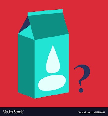 Milk carton box flat flat style isolated on vector image