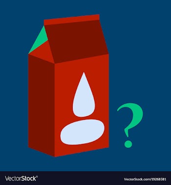 Milk carton box flat flat style isolated on vector image