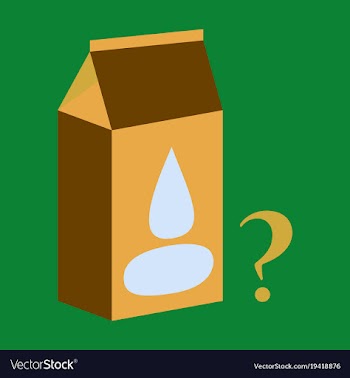 Milk carton box flat flat style isolated on vector image