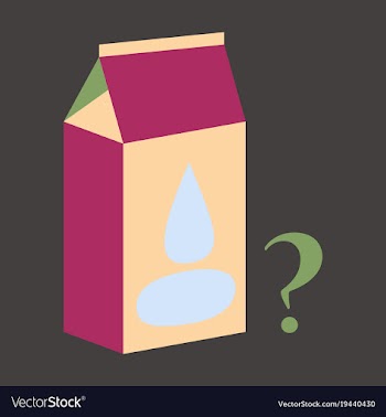 Milk carton box flat flat style isolated on vector image