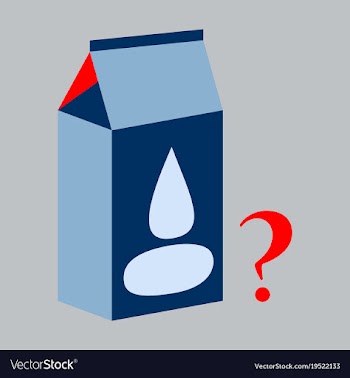 Milk carton box flat flat style isolated on vector image