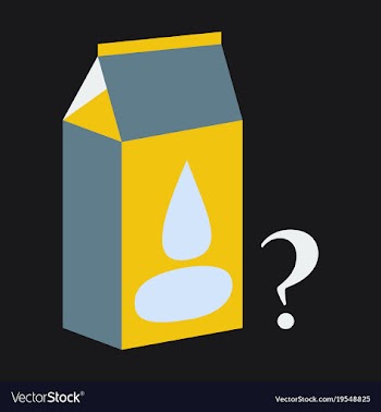 Milk carton box flat flat style isolated on vector image