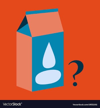 Milk carton box flat flat style isolated on vector image