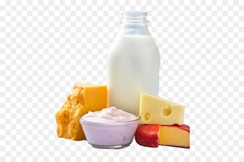 Milk Dairy product Food Drink Cheese - Milk Yogurt Cheese Butter 