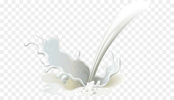 Milk Euclidean vector Splash Food - Milk Splash 