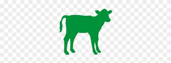 Milk-fed Calf - Baby Calf Silhouette