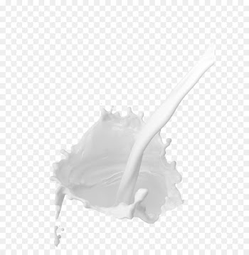 Milk Liquid Drop Cattle - milk 