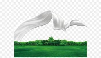 Milk ribbon grass green lawn 