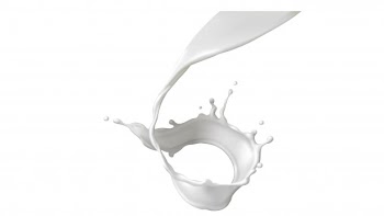 Milk splash, pouring or swirl with realistic drops Free Vector