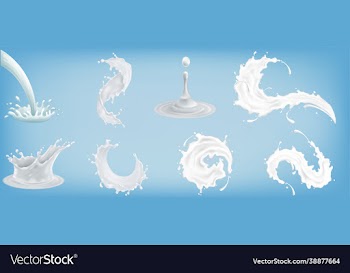 milk splashes set yogurt or dairy drink product