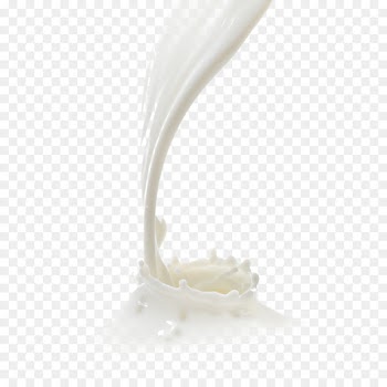 Milk Water buffalo Dairy Products Curd Food - milk 
