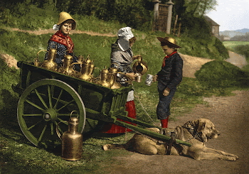 Milksellers, Brussels, Belgium with dogcart. | Free Photo - rawpixel