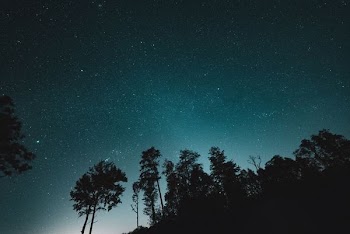 milky way over trees wallpaper