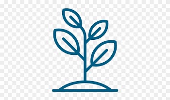 Mill Grow - Trees For The Future