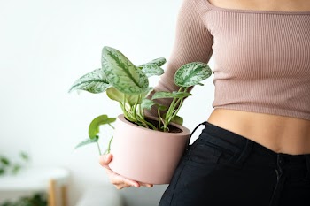 Millennial plant parent holding potted… | Free stock photo | High Resolution image