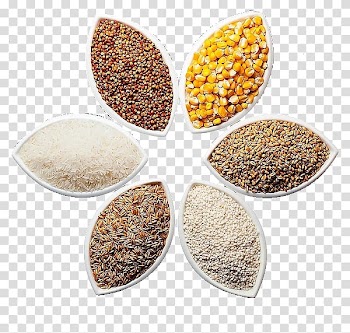 Millet platter transparent background PNG clipart