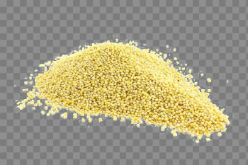 Millet PNG Image Background