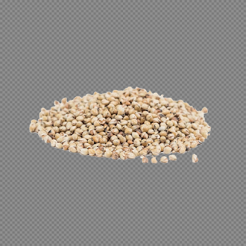 Millet PNG Photo