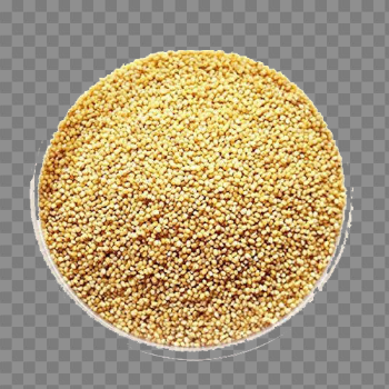 Millet PNG Pic
