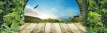 Millions of PNG Images, Backgrounds and Vectors for Free Download ...