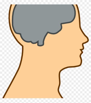 Mind Clipart Medical Diagram Of Brain Clip Art At Clker - Brain Clip Art
