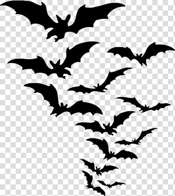MINI DE HALLOWEEN, black bats illustration transparent background PNG clipart