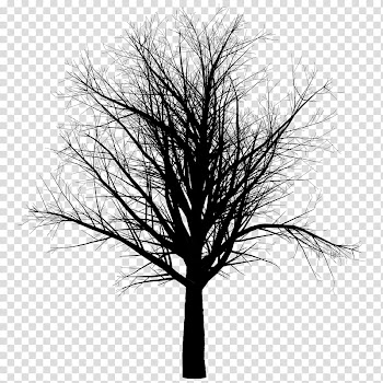 MINI Happy Halloween, bare tree transparent background PNG clipart