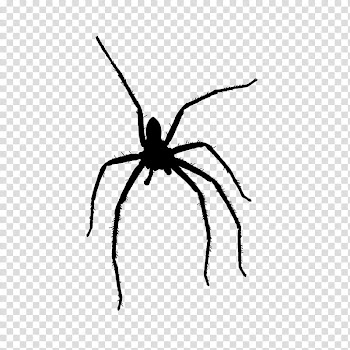 MINI Happy Halloween, silhouette of spider transparent background PNG clipart