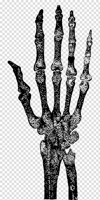 MINI Happy Halloween, skeleton hand transparent background PNG clipart