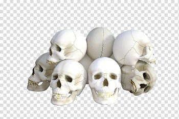 MINI Happy Halloween, white skull skeleton decorations transparent background PNG clipart