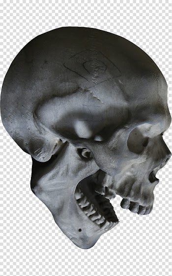 MINI Happy Halloween, white skull transparent background PNG clipart
