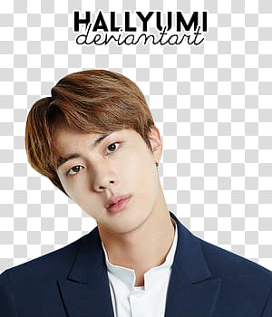 MINI Jin Birthday, Hallyumi Deriantart transparent background PNG clipart