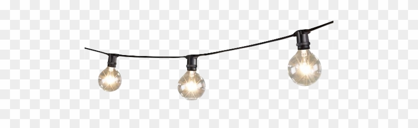 Mini String Lights With Globe Lamps Png Image - Fairy Lights Transparent Background