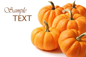Miniature pumpkins on white background with copy space.  Macro with shallow dof.
