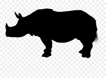 Miniature Zebu Brahman cattle Vector graphics Image Silhouette -  