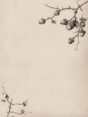 Minimal Acorn and Twig Border Design