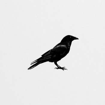 Minimal Black Crow Logo
