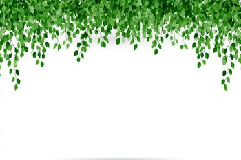 Minimal Botanical Border Design with Fresh Green Leaves
