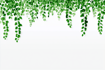 Minimal Botanical Border Design with Fresh Greenery