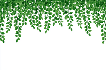 Minimal Botanical Border with Green Leafy Branches