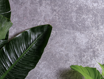 Minimal Botanical Still Life with Tropical Leaves